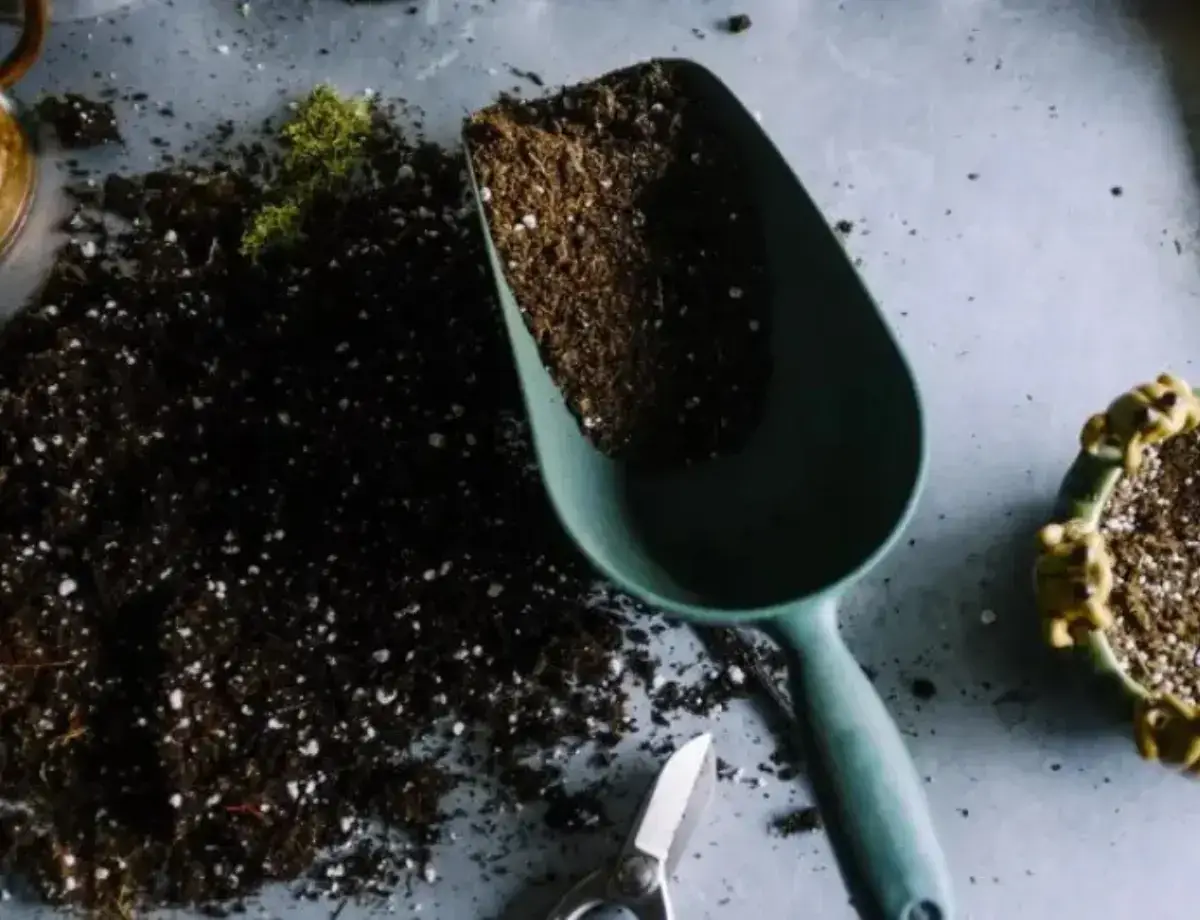 Retourner le compost : comment faire et pourquoi c'est important ?