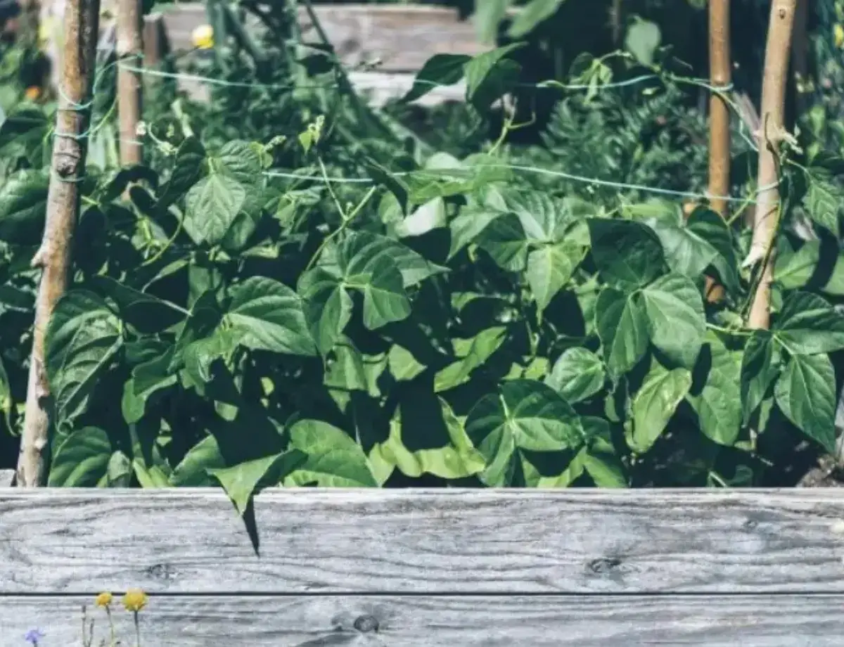 Que mettre dans mon composteur au printemps ?