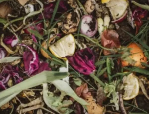 Comment activer mon compost naturellement ?