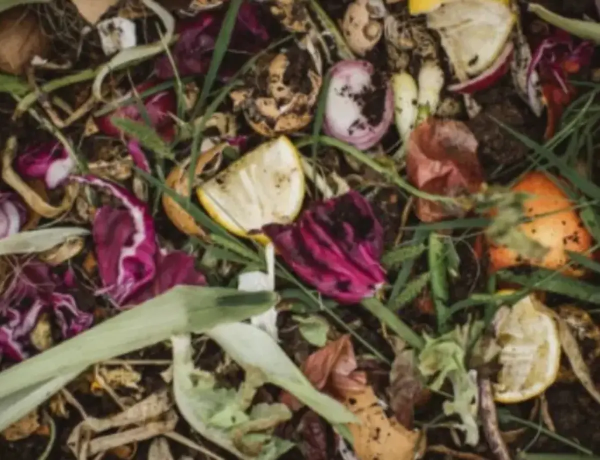 Comment activer mon compost naturellement ?