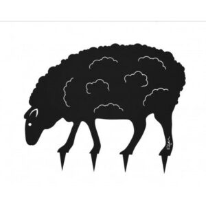 20.jpg Mouton Steel Country