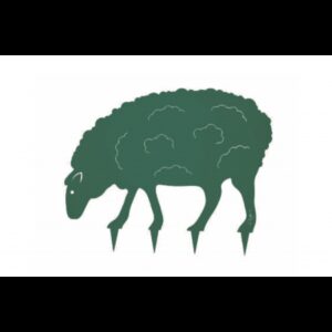 24.jpg Mouton Steel Country