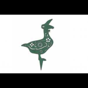 366.jpg Oie Miss Anatide