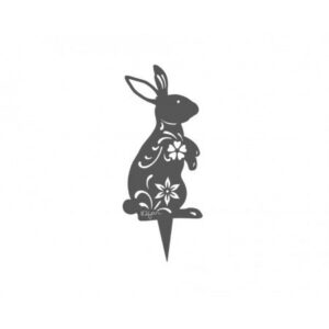 384.jpg Lapin Lady Rabbit