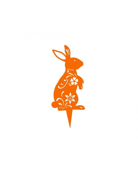 387.jpg Lapin Lady Rabbit