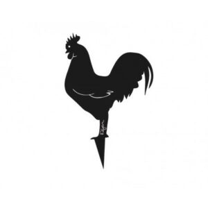 Coq Mister Panache
