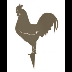 Coq Mister Panache