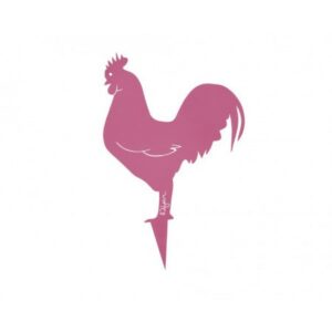 Coq Mister Panache