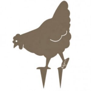 423.jpg Poule Miss Chabo