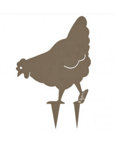 423.jpg Poule Miss Chabo