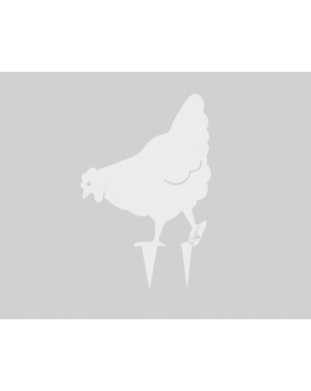 426.jpg Poule Miss Chabo