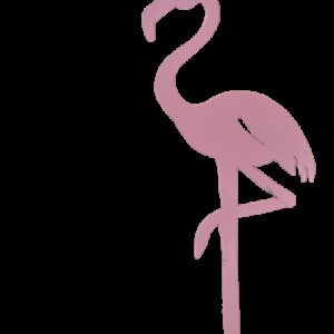 Flamant Rose Lady Pink