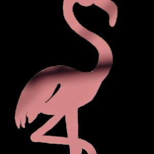 Flamant Rose Lady Pink
