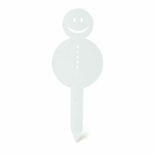 Bonhomme de neige de Noël blanc