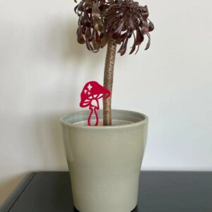champignon rouge framboise en métal plantes et pots