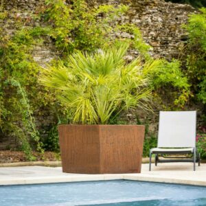 jardinière en corten pour un arbuste jardinière en corten pour un arbuste