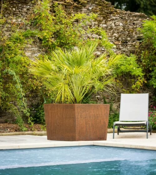 jardinière en corten pour un arbuste