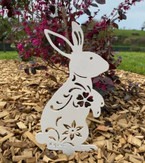 2423.jpg Lapin Lady Rabbit