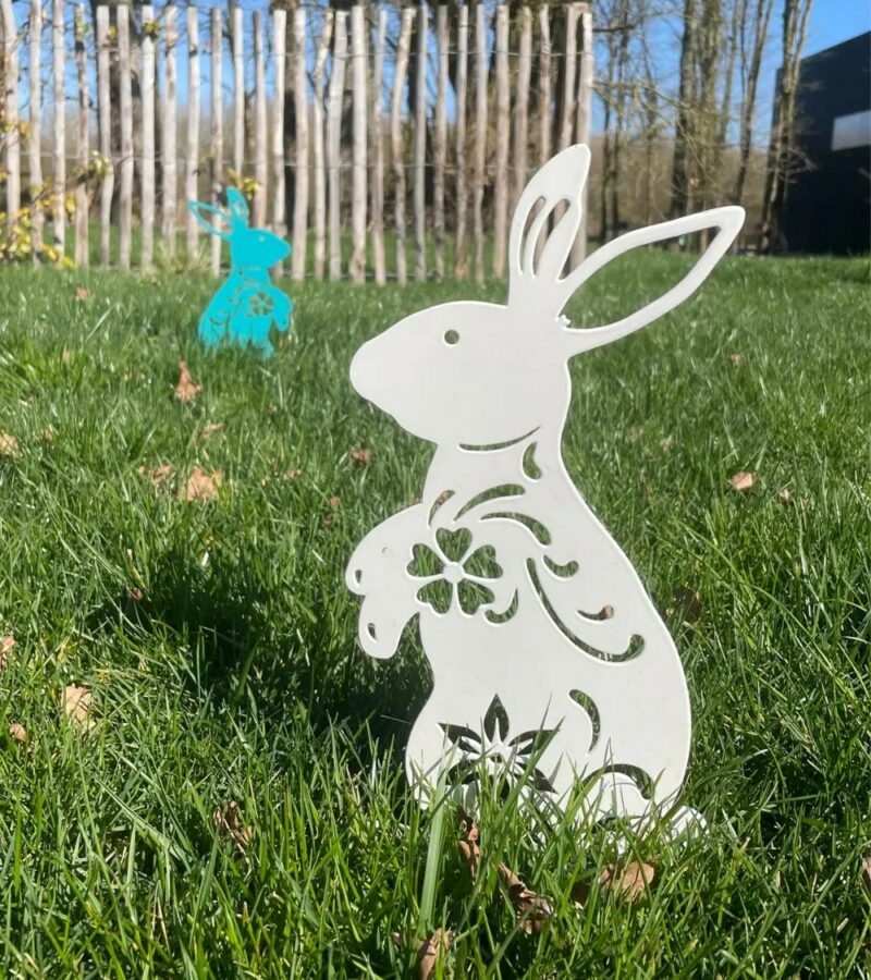 2425.jpg Lapin Lady Rabbit