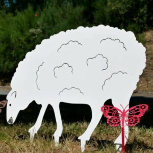 2429.jpg Mouton Steel Country