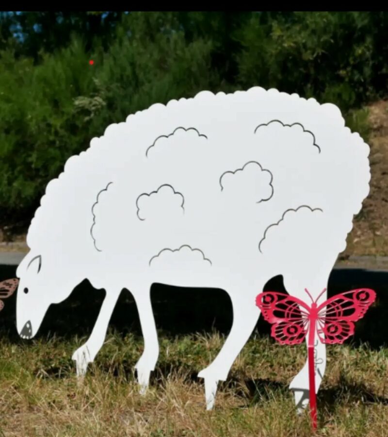 2429.jpg Mouton Steel Country