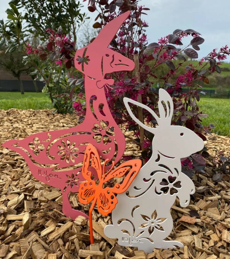 2431.jpg Oie Miss Anatide