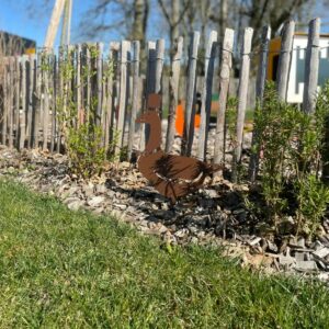 décoration animal décoration animal