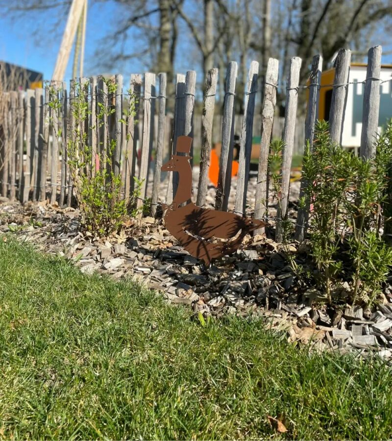 décoration animal décoration animal