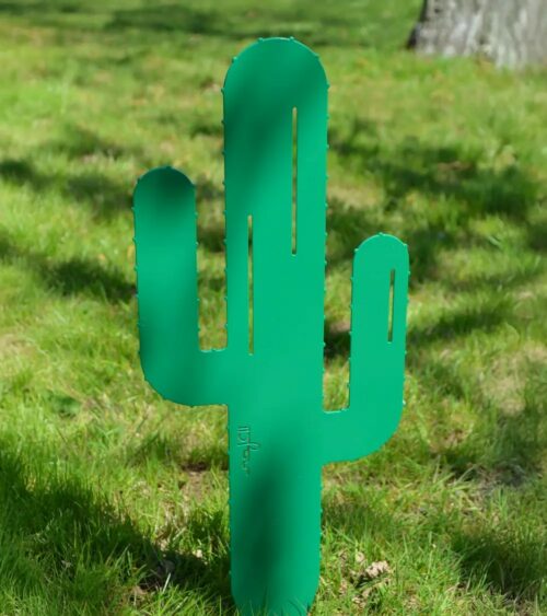 Cactus Mr Pique